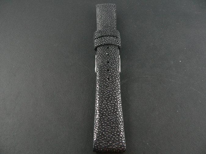 BG119 Stingray BG119 Stingray